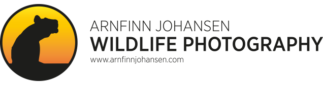 Arnfinn Johansen Wildlife Photography